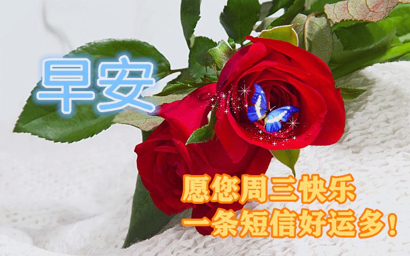 早上好动态表情图片大全,三伏天早晨好动图美图大全