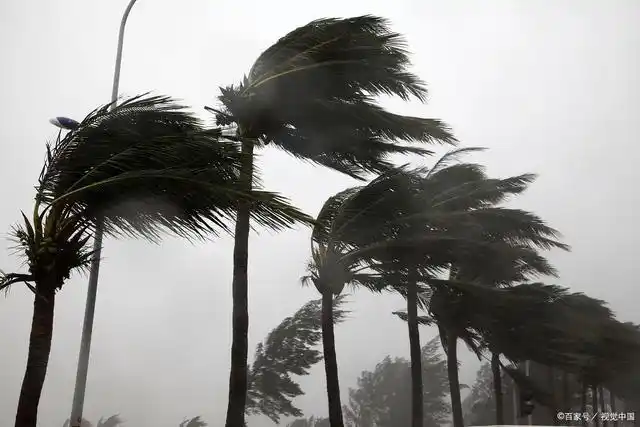 妈妈的爱是狂风暴雨
