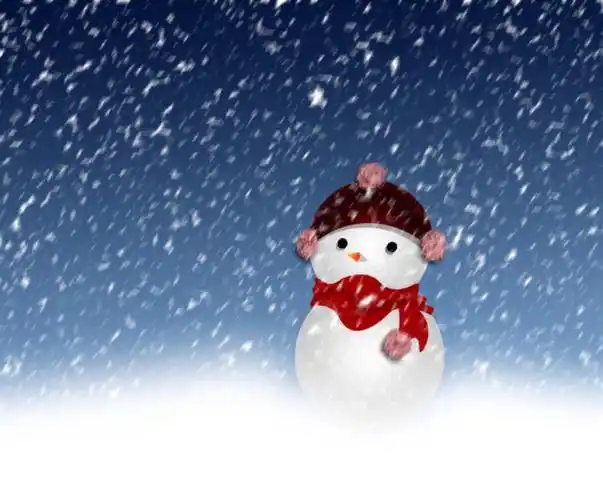 天空上面白白雪花在纷飞.