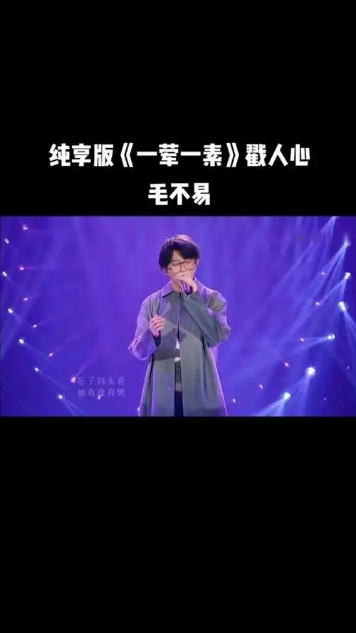 纯享版《一荤一素》毛不易#毛不易 #一荤一素 #音乐现场