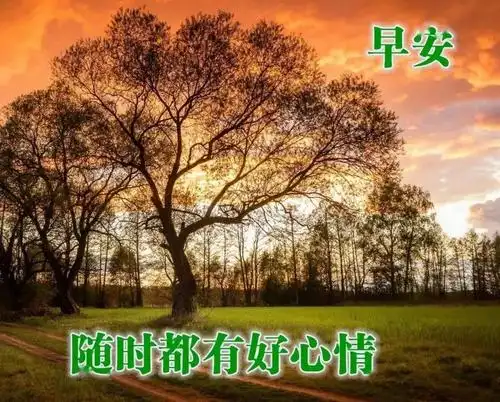 6张最新秋日风景早安问候图片带字精选 漂亮的秋天枫叶早上好图片带字