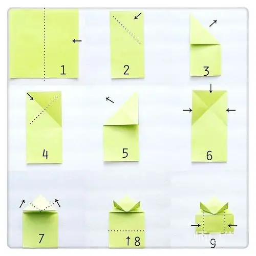 家长和幼儿一起来折蹦蹦跳跳的小青蛙,可以选择不同的颜色.