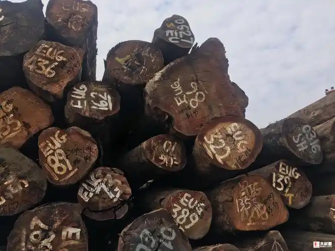 水胶木 - 木材圈