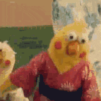 小鹦鹉跳呀跳搞笑表情包gif表情