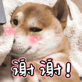 我为群众办实事情侣被困长江堤外民警消防紧急救援