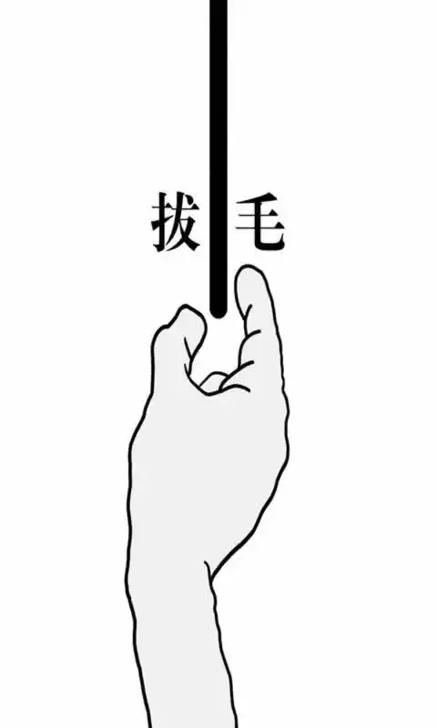 拔一根毛