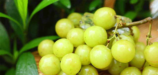 640_303gif 动态图 动图