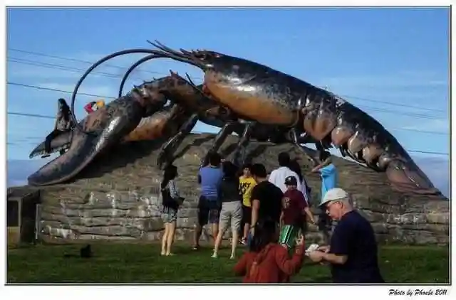 这是我见过最大的龙虾和杀人蟹你敢吃它们吗