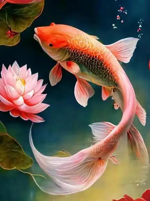 吉祥锦鲤,好运加倍