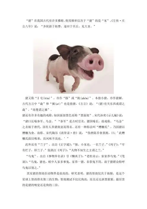 " 猪又称"犭屯(tún)",亦作"豚"或"肫(zhūn)".本指小猪,亦作猪解.