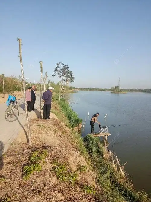 珍珠湖钓鱼的真不少,今天风和日丽!