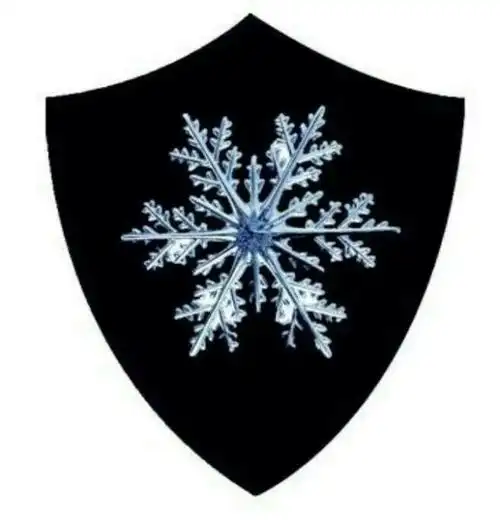 影视同人小说 萌学园7之宇宙之战 谜亚星(智之星)查询月骑士团,冰骑士