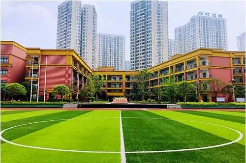 2020重庆九龙坡区蟠龙小学招聘教师9人公告