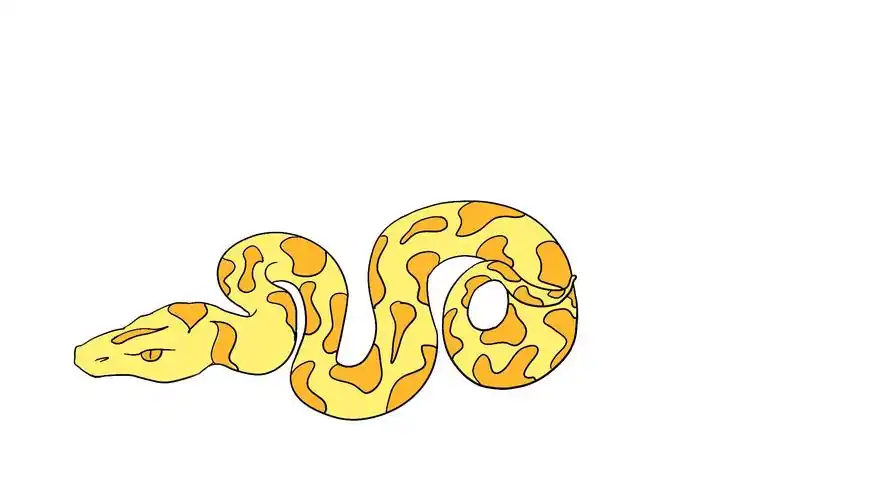 黄金蟒简笔画