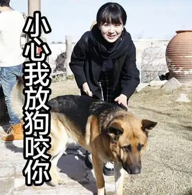 小心我放狗咬你 - 花样姐姐逗萌表情包 和杨紫一起萌萌哒