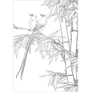 竹子白描底稿工笔画线描底图国画黑白画稿作业画花鸟底稿电子版