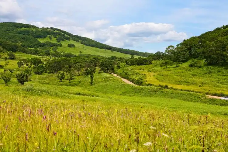 夏天,风景,远东