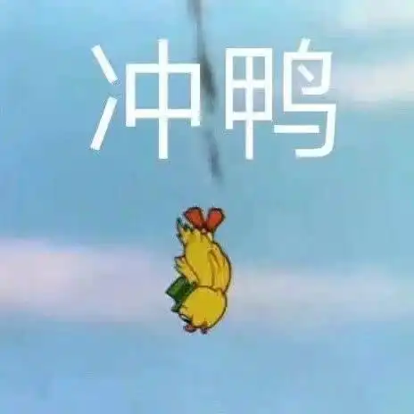 冲鸭(鸭鸭表情包)_冲鸭表情