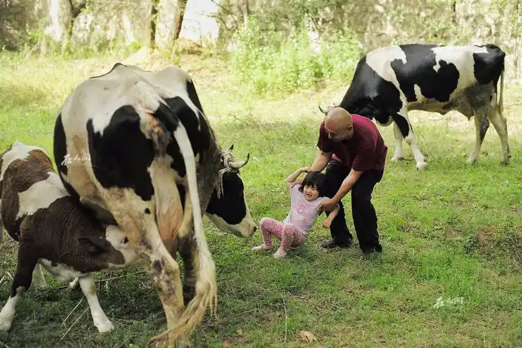 在人间第154期五个中国全职爸爸