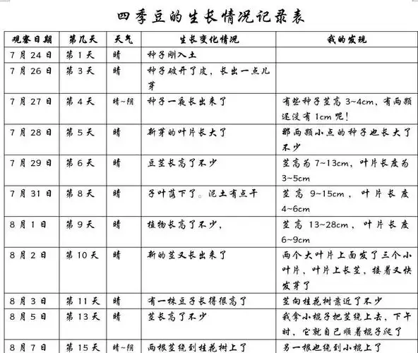 第15天观察记录表