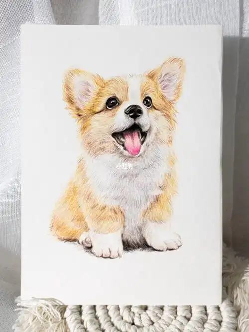 彩铅 | 有手就会系列之柯基小狗~ #彩铅画   #彩铅手绘   #彩铅绘画