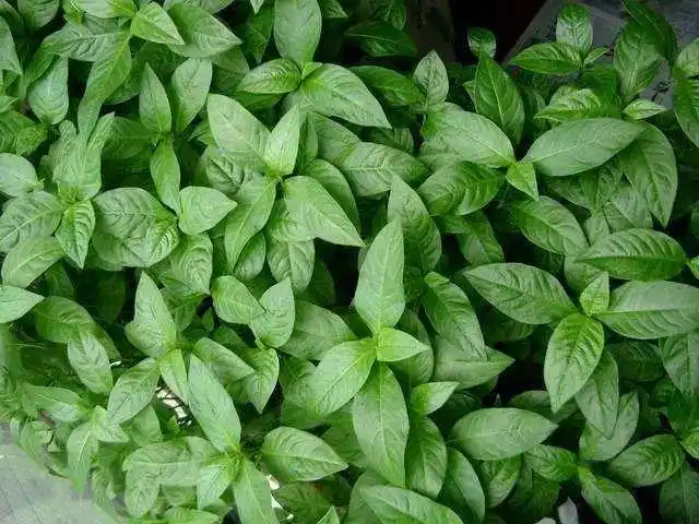 北京- 热门厂家专区