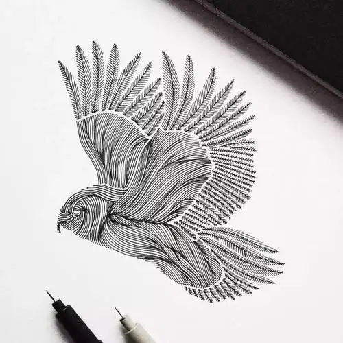 老师说把素描线条练成这样你的基本功就扎实了