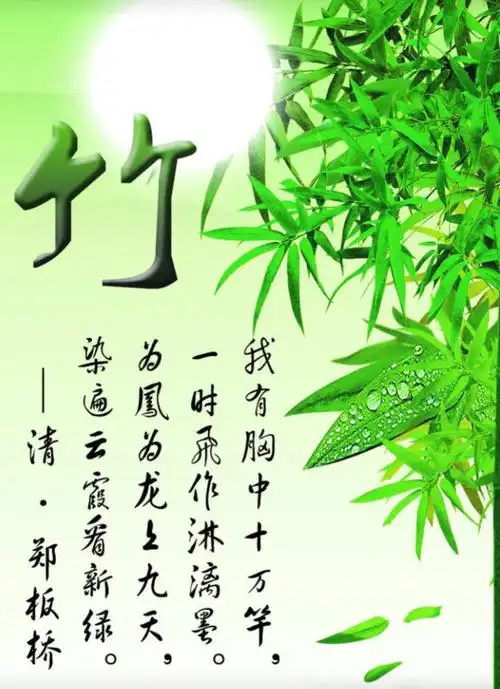 竹子的人生寓意