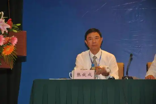 山东六和集团执行董事长张效成