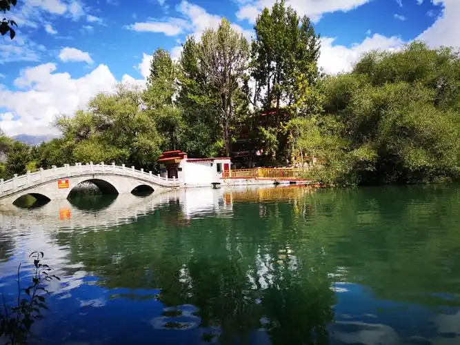 西藏宗角禄康公园(日更)