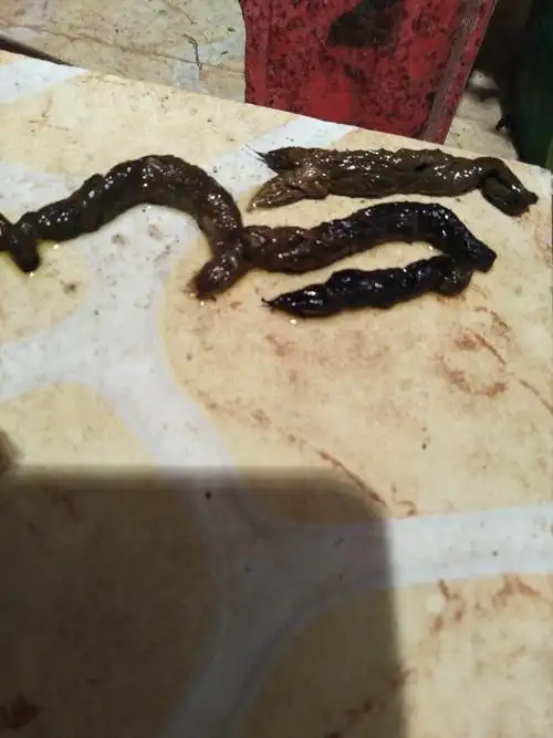 请各路大神帮我解惑,今早在店里卫生间发现的,这是不是蛇的粪便?