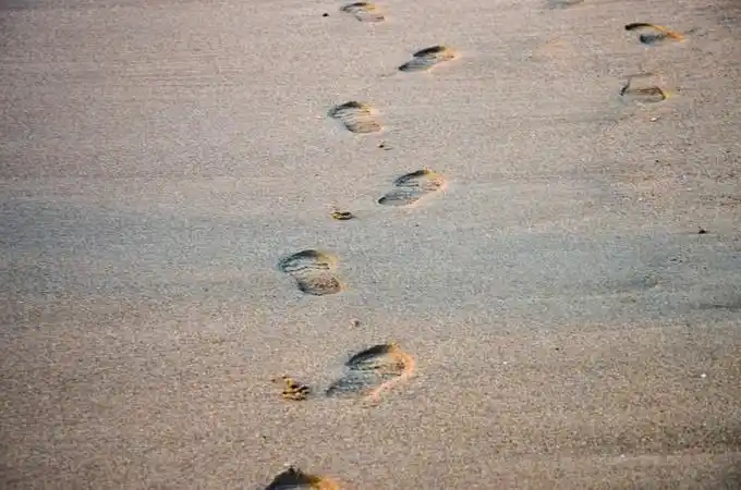 夕阳余晖拉长了渔夫拉网的身影海边是一串串留下的脚印,下一次潮水来