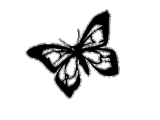 320_240gif 动态图 动图