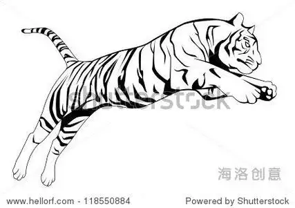tiger简笔画缩写
