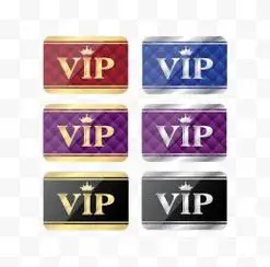 vip会员等级图标