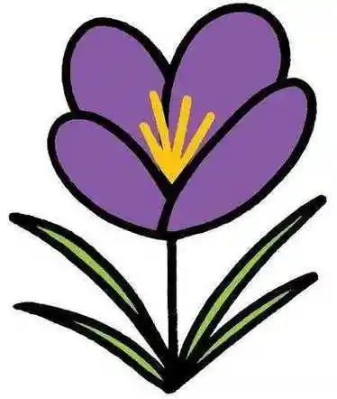 画教程简笔画大全最漂亮红色玫瑰花的画法涂颜色玫瑰花简笔画图片可爱