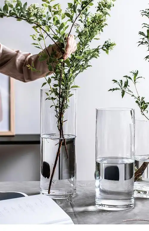 富贵竹花瓶花瓶摆件客厅插花透明玻璃瓶ins风马醉木水养宽口网红大号