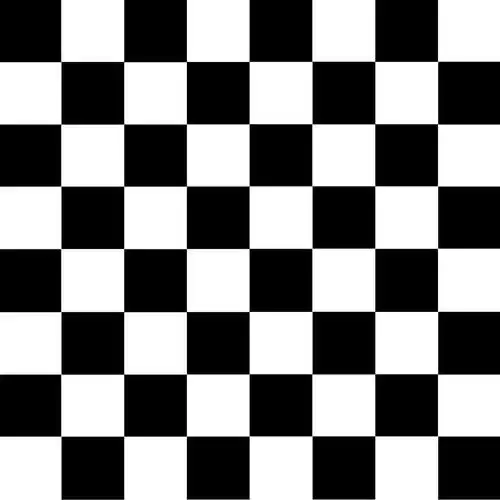 棋盘格小花拼贴元素印花素材黑白格子地砖黑色和白色有光泽瓷砖地板