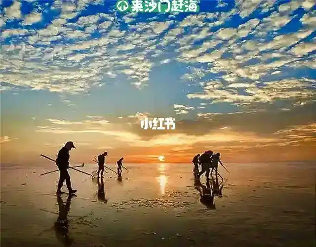 赶海玉环市沙门赶海乐园