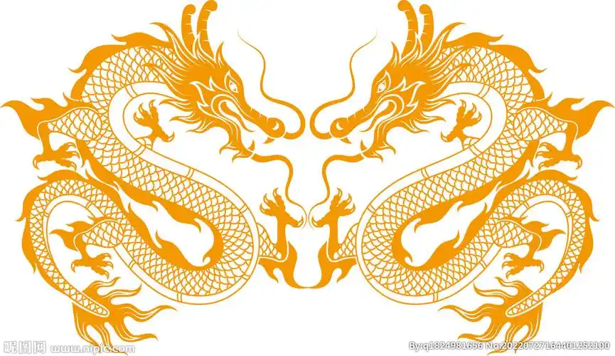 矢量金色双龙