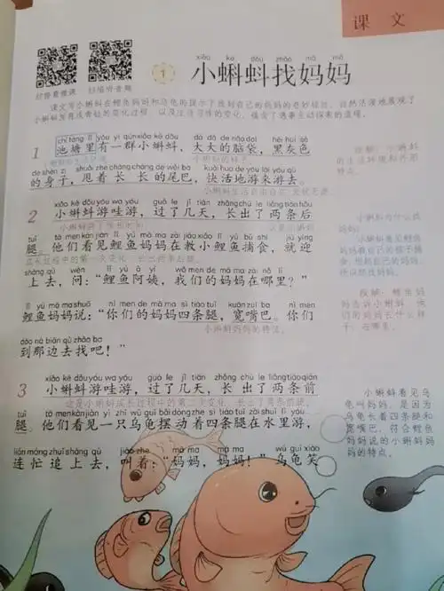 二年级上册语文笔记小蝌蚪找妈妈