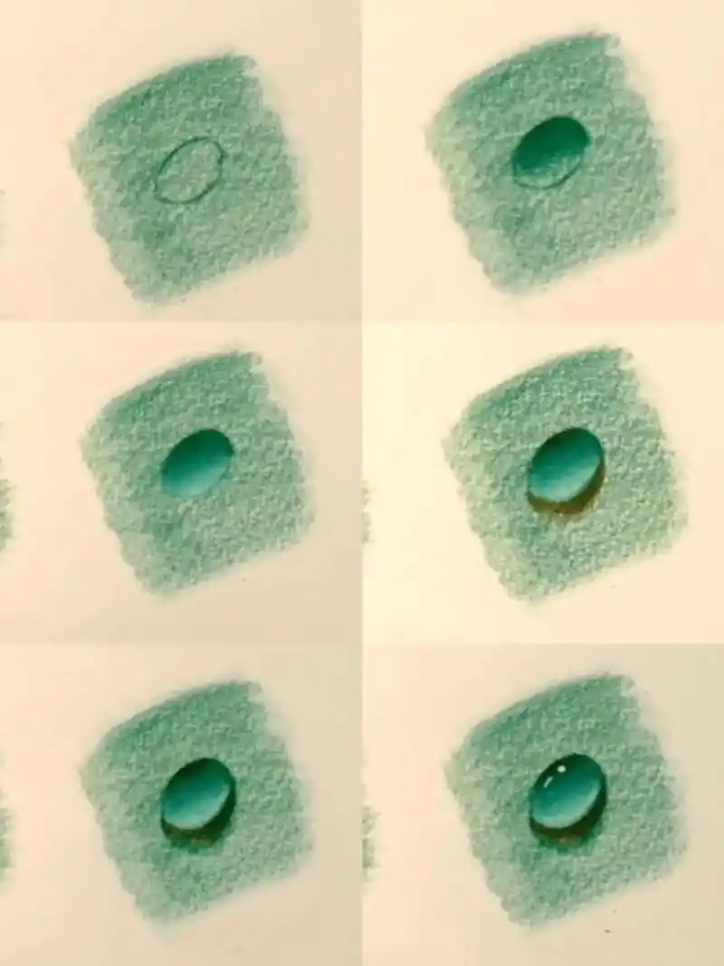 零基础学彩铅小水滴彩铅教程来咯