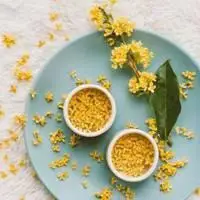 好看的桂花高清头像 香气迷人的桂花树头像_微信头像图片大全