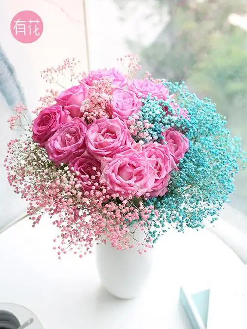 满天星鲜花云南昆地直发千万星花束真花水养插花直批包邮家用