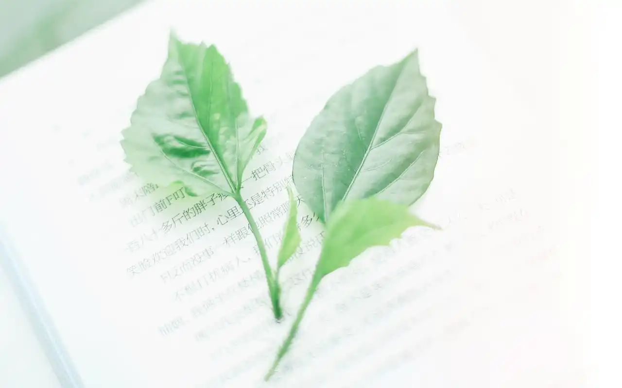 简约小清新主题高清桌面壁纸图片