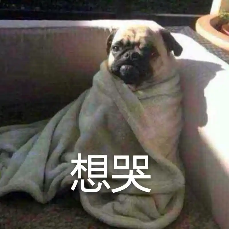 祈祈祈自制表情包想哭想哭想哭想哭想哭