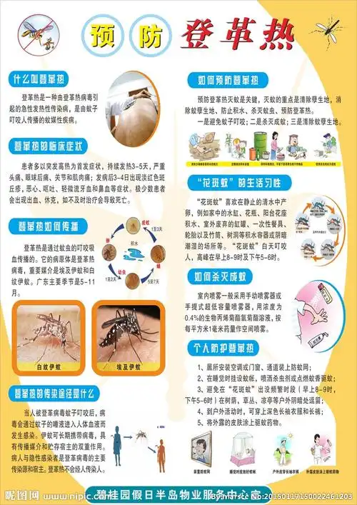 预防登革热图片