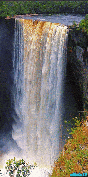 346_692竖版 竖屏gif 动态图 动图