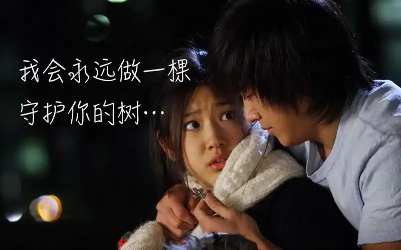 李菀朴信惠2006年天国的树甜蜜感情线剪辑