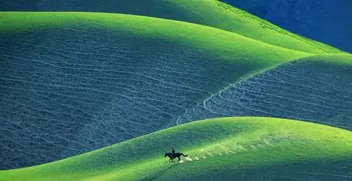 图:来一张获奖照片中国国家地理极致摄影大赛极致气质奖:草甸绿浪